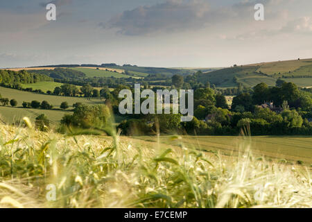 Ohren von Gerste auf einem Hügel mit Blick auf das Dorf Brixton Deverill in der Nähe von Warminster in Wiltshire, England. Stockfoto