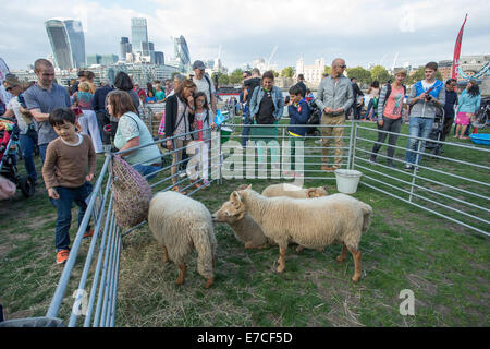 London, UK. 13. September 2014.   Auf halbem Weg durch den Monat lang völlig Thames Festival, eine Vielzahl von Bands und Sängern durchgeführt im Schatten der Tower Bridge und Rathaus Credit: Neil Cordell/Alamy Live News Stockfoto