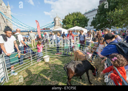 London, UK. 13. September 2014.   Auf halbem Weg durch den Monat lang völlig Thames Festival, eine Vielzahl von Bands und Sängern durchgeführt im Schatten der Tower Bridge und Rathaus Credit: Neil Cordell/Alamy Live News Stockfoto