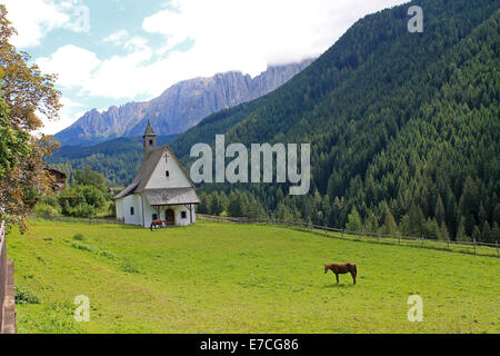 Pferde vor einer kleinen Kirche in den Bergen Stockfoto