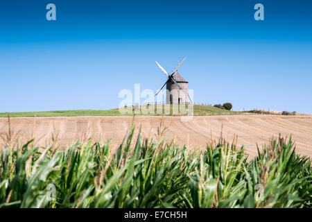 Moulin de Moidrey in der Nähe von Abtei Mont Saint Michel, Pontorson, Normandie, Frankreich. Stockfoto