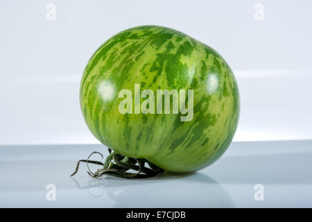 Green Zebra Tomate Tomaten Obst essen besondere Zucht genial Greenfood Streifen Streifen gestreift Spezialität vegetarische Gemüse er Stockfoto