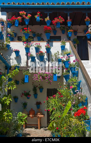 Typische Innenhof des San Basilio, Cordoba, Region von Andalusien, Spanien, Europa Stockfoto