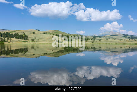 Reflexionen der Berge, Himmel und flauschige Wolken auf einem ruhigen See im Herzen des Yellowstone National Park in der Nähe von West Yellowstone. Stockfoto