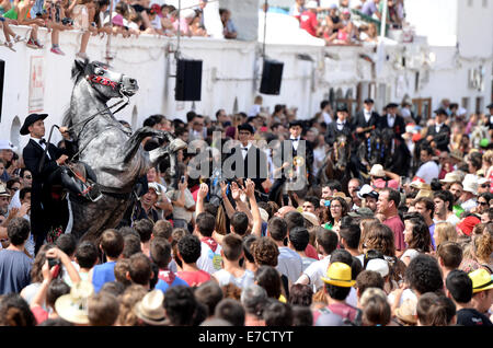 Typisches fest der Pferde in der Stadt von Ciutadella auf Menorca; fest von Sant Joan (St. John) am 24. Juni. Stockfoto