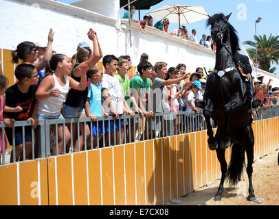 Typisches fest der Pferde in der Stadt von Ciutadella auf Menorca; fest von Sant Joan (St. John) am 24. Juni. Stockfoto