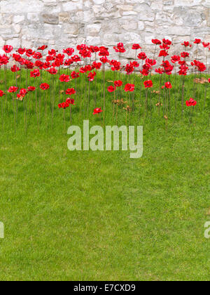 Nahaufnahme von roten Keramik Mohnblumen zwischen grünem Rasen und Steinmauer an der Tower of London England Stockfoto