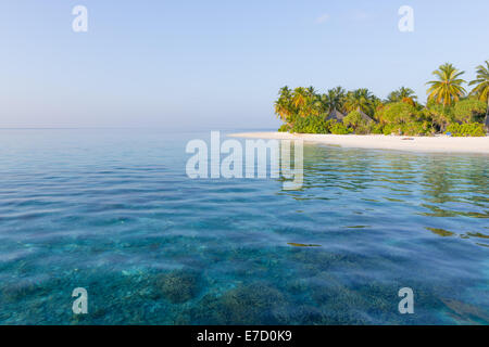 Panorama der tropischen Insel mit Palmen Stockfoto