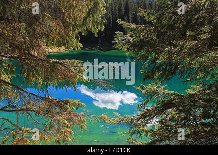 Reflexion einer Wolke im Wasser des Sees Carezza Stockfoto