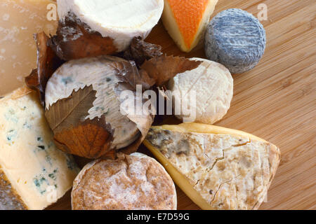 Französische Käse Komposition auf Holzbrett Nahaufnahme Stockfoto