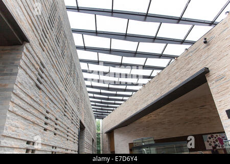 Die Sammlung Museum für Kunst und Archäologie in Lincoln, England - Interieur Stockfoto