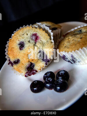 Blaubeer-Muffins mit frischen Heidelbeeren auf weißen Teller und schwarzem Hintergrund Stockfoto