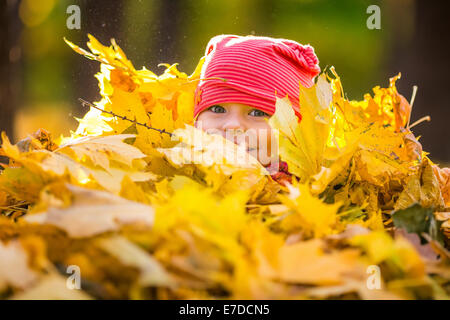 Kleine Mädchen spielen mit Herbstlaub Stockfoto