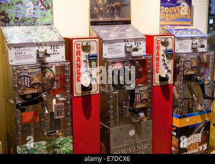 Längliche Souvenir Münzautomaten - USA Stockfoto