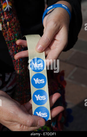 Glasgow, Scotland, UK 13. September 2014.  Tausende Fans aus Gemeinden in ganz Schottland lief der größte Kampagne Aktionstag Schottland je gesehen hat.  Über das Wochenende es mehr als 35.000 Freiwillige bei 473 Straßenständen versucht gab, Menschen zu stimmen oder nicht stimmen für Unabhängigkeit überzeugen, und hoffen, dass registriert würde 2,6 Millionen "Ja" Flugblätter in 48 Stunden ausgeliefert werden. © CernanElias/AlamyLive News Stockfoto