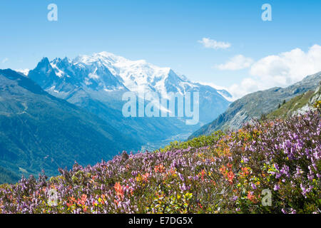 Blumenwiese im französischen Landschaft mit Mont Blanc Bergkette im Hintergrund Stockfoto