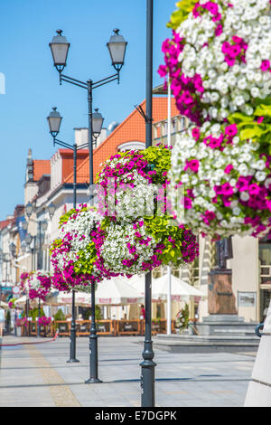 Blumenarrangement auf Straßenlaterne im Hintergrund am Marktplatz in Bialystok, Polen. Stockfoto