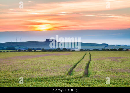 Sonnenaufgang von Olivers Burg, mit Blick auf Morgan Hill in der Nähe von Devizes, Wiltshire. Stockfoto