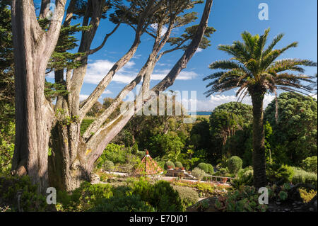 Tresco Klostergarten, Isles of Scilly, Vereinigtes Königreich. Ein Blick auf den mediterranen Garten und das Shell-Haus Stockfoto