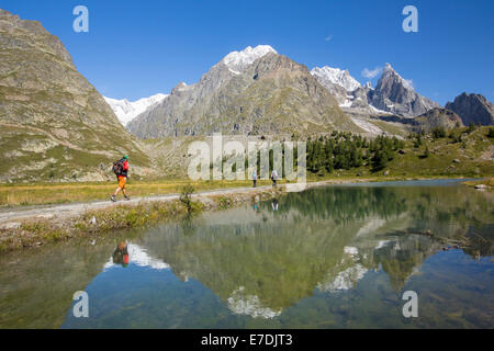 Seitenmoräne auf der Seite der schnell sich zurückziehenden Gletscher de Miage unten Mont Blanc, Italien, mit Wanderer tun die Tour du Mont-Blanc. Stockfoto