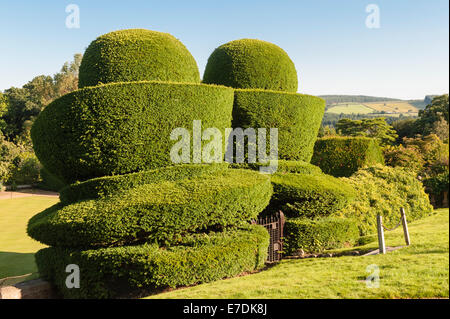 Das 16. Jahrhundert Crathes Castle, Banchory, Schottland, Großbritannien. Die Eibe stammt aus dem Jahr 1702 Stockfoto