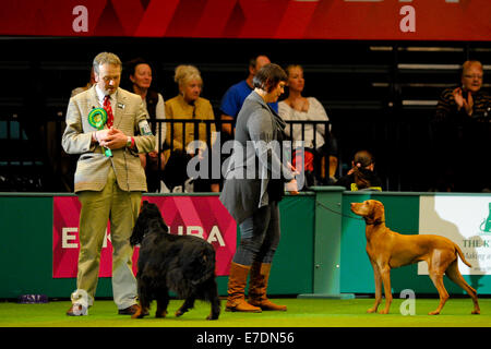 Crufts 2014 Agilität Finale und Präsentationen Parade der Wildhüter - Gruppe nach zu urteilen - Jagdhund wo: Birmingham, Vereinigtes Königreich bei: 9. März 2014 Stockfoto