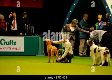 Crufts 2014 Agilität Finale und Präsentationen Parade der Wildhüter - Gruppe nach zu urteilen - Jagdhund wo: Birmingham, Vereinigtes Königreich bei: 9. März 2014 Stockfoto