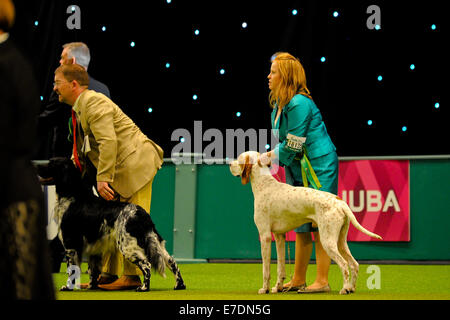 Crufts 2014 Agilität Finale und Präsentationen Parade der Wildhüter - Gruppe nach zu urteilen - Jagdhund wo: Birmingham, Vereinigtes Königreich bei: 9. März 2014 Stockfoto