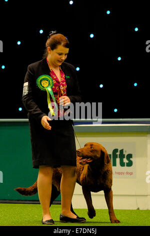 Crufts 2014 Agilität Finale und Präsentationen Parade der Wildhüter - Gruppe nach zu urteilen - Jagdhund wo: Birmingham, Vereinigtes Königreich bei: 9. März 2014 Stockfoto