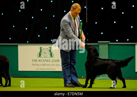 Crufts 2014 Agilität Finale und Präsentationen Parade der Wildhüter - Gruppe nach zu urteilen - Jagdhund wo: Birmingham, Vereinigtes Königreich bei: 9. März 2014 Stockfoto