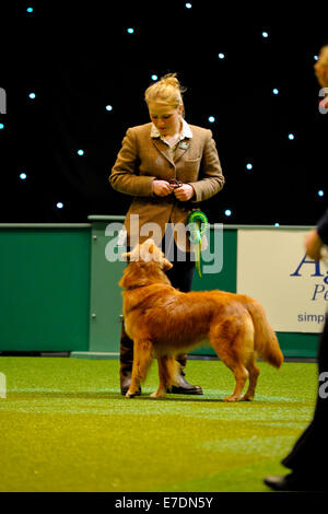 Crufts 2014 Agilität Finale und Präsentationen Parade der Wildhüter - Gruppe nach zu urteilen - Jagdhund wo: Birmingham, Vereinigtes Königreich bei: 9. März 2014 Stockfoto