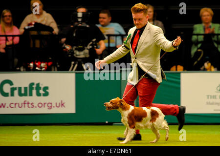 Crufts 2014 Agilität Finale und Präsentationen Parade der Wildhüter - Gruppe nach zu urteilen - Jagdhund wo: Birmingham, Vereinigtes Königreich bei: 9. März 2014 Stockfoto