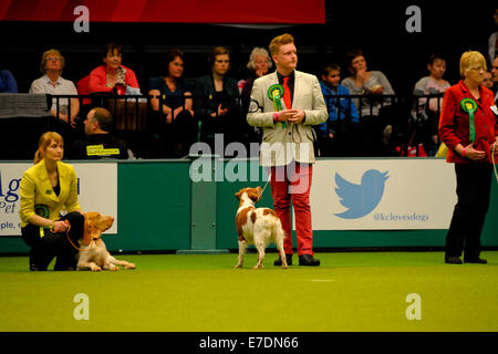 Crufts 2014 Agilität Finale und Präsentationen Parade der Wildhüter - Gruppe nach zu urteilen - Jagdhund wo: Birmingham, Vereinigtes Königreich bei: 9. März 2014 Stockfoto