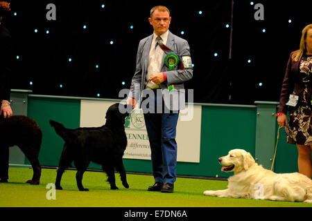 Crufts 2014 Agilität Finale und Präsentationen Parade der Wildhüter - Gruppe nach zu urteilen - Jagdhund wo: Birmingham, Vereinigtes Königreich bei: 9. März 2014 Stockfoto