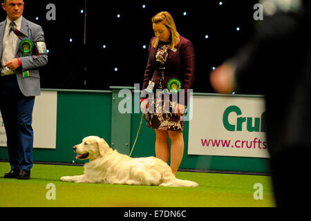 Crufts 2014 Agilität Finale und Präsentationen Parade der Wildhüter - Gruppe nach zu urteilen - Jagdhund wo: Birmingham, Vereinigtes Königreich bei: 9. März 2014 Stockfoto