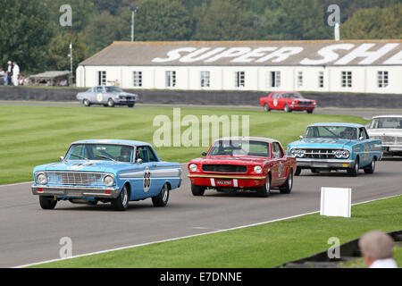 Chichester, West Sussex, UK. 13. Sep, 2014. Bilder vom Goodwood Revival 2014 - The Shelby Cup - ein Rennen für Limousinen von Small-Block V8-Motoren auf den 60. Jahrestag der Small-Block V8-Motor angetrieben. Eine große Anzahl von Ford Mustangs Mariking nahm das Auto 50. Jahrestag auf andere amerikanische Klassiker wie Ford Falcon, Plymouth Barracuda, Mercury Comet Zyklon und Dodge Dart. Bild zeigt: Rob Hall fahren ein 1964 Ford Falcon Geist Credit: Oliver Dixon/Alamy Live News Stockfoto