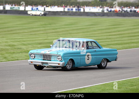 Chichester, West Sussex, UK. 13. Sep, 2014. Bilder vom Goodwood Revival 2014 - The Shelby Cup - ein Rennen für Limousinen von Small-Block V8-Motoren auf den 60. Jahrestag der Small-Block V8-Motor angetrieben. Eine große Anzahl von Ford Mustangs Mariking nahm das Auto 50. Jahrestag auf andere amerikanische Klassiker wie Ford Falcon, Plymouth Barracuda, Mercury Comet Zyklon und Dodge Dart. Bild zeigt: Rowan Atkinson (Mr. Bean) fahren ein 1964 Ford Falcon Geist Credit: Oliver Dixon/Alamy Live News Stockfoto