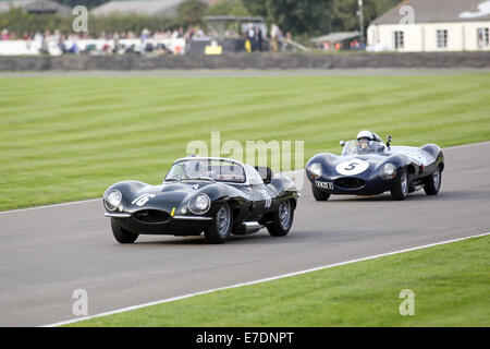 Chichester, West Sussex, UK. 13. Sep, 2014. Bilder vom Goodwood Revival 2014 - The Lavant Cup, für Jaguar D-Typen anlässlich des 60. Jahrestages der eines der berühmtesten Maschinen der damaligen Zeit. Autos enthalten kurze und Langnasen-Versionen des D-Typs, die Le Mans gewann 24 Stunden drei Jahre in Folge von 1955-57. Bild zeigt: ein 1957 Jaguar XKSS Credit: Oliver Dixon/Alamy Live News Stockfoto