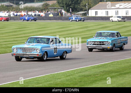 Chichester, West Sussex, UK. 13. Sep, 2014. Bilder vom Goodwood Revival 2014 - The Shelby Cup - ein Rennen für Limousinen von Small-Block V8-Motoren auf den 60. Jahrestag der Small-Block V8-Motor angetrieben. Eine große Anzahl von Ford Mustangs Mariking nahm das Auto 50. Jahrestag auf andere amerikanische Klassiker wie Ford Falcon, Plymouth Barracuda, Mercury Comet Zyklon und Dodge Dart. Bild zeigt: Rob Hall fahren ein 1964 Ford Faclon Geist Credit: Oliver Dixon/Alamy Live News Stockfoto