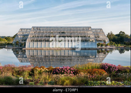 Der Royal Horticultural Society (RHS) Gärten, Wisley, Surrey, UK. Der See und Gewächshaus bei Sonnenaufgang im September Stockfoto