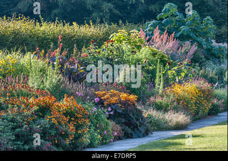 Die RHS Gardens in Wisley, Großbritannien. Helenium „Sahins frühe Blüte“, Ligularia „Britt Marie Crawford“ in den gemischten Grenzen, September Stockfoto