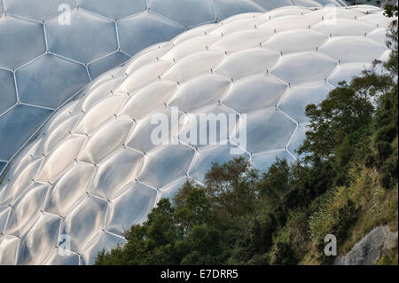 Das Eden Project, Cornwall, Großbritannien. Detail einer der riesigen Kunststoffkuppeln, die mit ETFE verkleidet sind und eine bestimmte Werksumgebung oder ein "Biom" enthalten Stockfoto