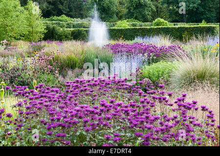 Scampston ummauerten Garten, Yorkshire, Großbritannien. Ein moderner Garten von Piet Oudolf entworfen mit mehrjährigen Pflanzen, Mitte August Wiese Stockfoto