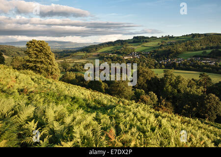 Das Dorf Erwood in den Hügeln von Mid-Wales, über dem Fluss Wye in der Nähe von Builth Wells, Powys, Großbritannien Stockfoto