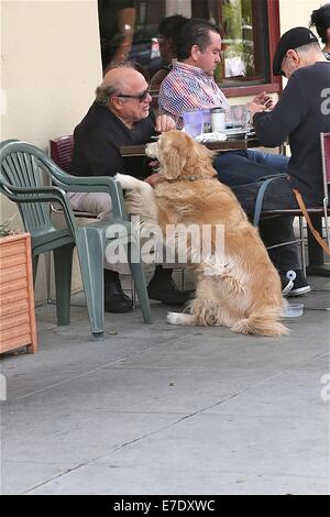 Danny DeVito, zum Mittagessen mit Freunden mit ihrem Haustier Hund Featuring: Danny DeVito Where: Los Angeles, California, Vereinigte Staaten von Amerika bei: 11. März 2014 Stockfoto