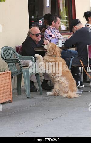 Danny DeVito, zum Mittagessen mit Freunden mit ihrem Haustier Hund Featuring: Danny DeVito Where: Los Angeles, California, Vereinigte Staaten von Amerika bei: 11. März 2014 Stockfoto