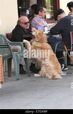 Danny DeVito, zum Mittagessen mit Freunden mit ihrem Haustier Hund Featuring: Danny DeVito Where: Los Angeles, California, Vereinigte Staaten von Amerika bei: 11. März 2014 Stockfoto