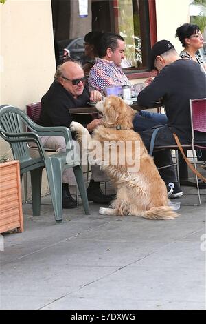 Danny DeVito, zum Mittagessen mit Freunden mit ihrem Haustier Hund Featuring: Danny DeVito Where: Los Angeles, California, Vereinigte Staaten von Amerika bei: 11. März 2014 Stockfoto