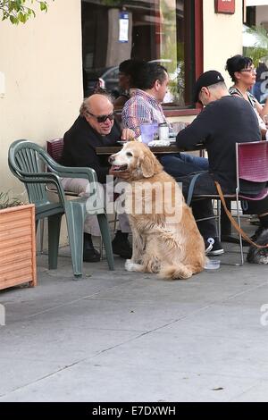 Danny DeVito, zum Mittagessen mit Freunden mit ihrem Haustier Hund Featuring: Danny DeVito Where: Los Angeles, California, Vereinigte Staaten von Amerika bei: 11. März 2014 Stockfoto