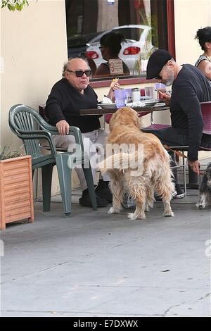 Danny DeVito, zum Mittagessen mit Freunden mit ihrem Haustier Hund Featuring: Danny DeVito Where: Los Angeles, California, Vereinigte Staaten von Amerika bei: 11. März 2014 Stockfoto